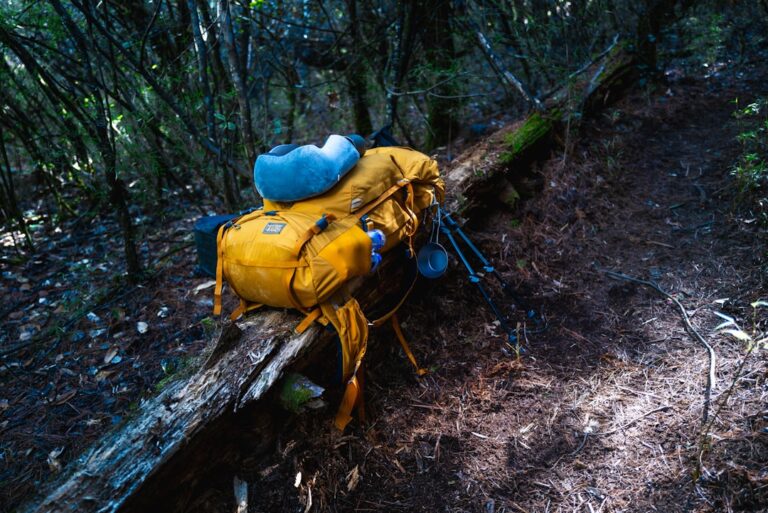 Travel Supplies That Will Transform Your Experience